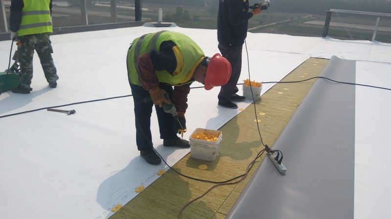 JS防水涂料：价格与用量背后的考量**